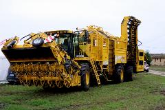 IMG_4973