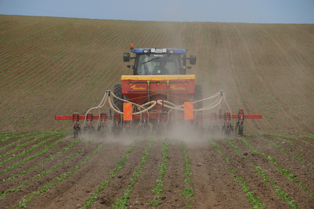 Plečkovanie porastu