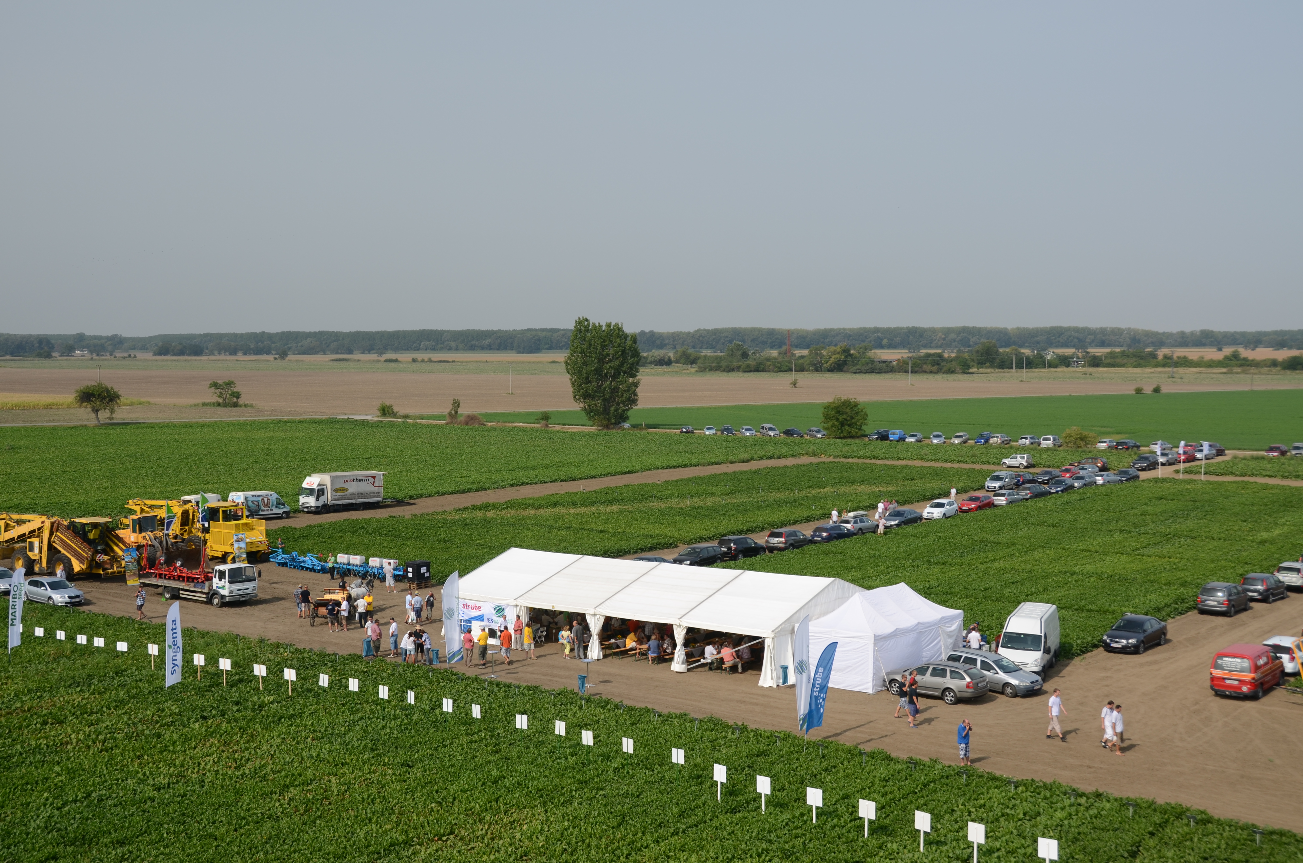 Prezentácia pokusov "Deň repy"