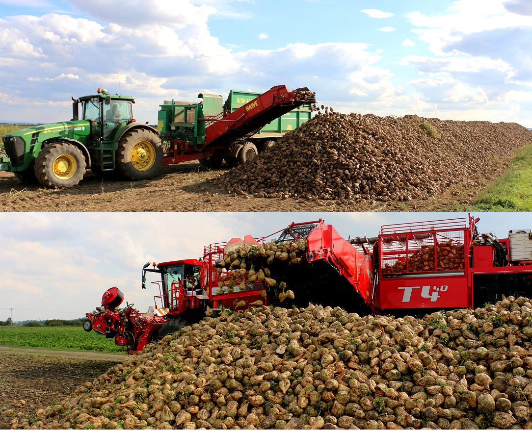 Ukladanie repy na skládku